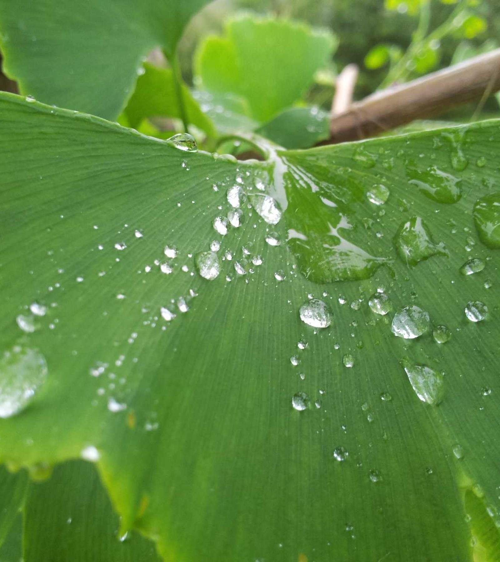 昆明 · 翠湖边的滇式小院 第 5 张